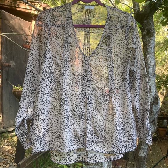 Pins and Needles Sheer Blouse - Picture 1 of 4